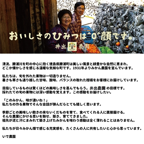 井出農園 露地すだち いでプリンス 秀品 2kg