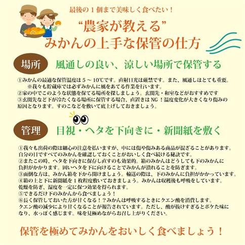 井出農園 贈答用 熟成みかん 秀品 S-Mサイズ 10kg