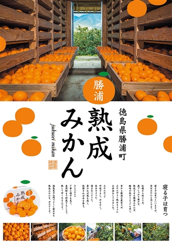 谷内青果 熟成みかん 秀品 サイズ混合 5kg