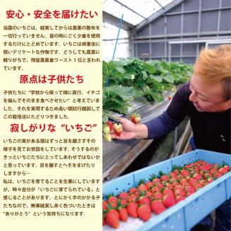 VERY40％ いちごアイスクリーム 6個