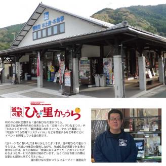 鮎の一夜干し 8尾