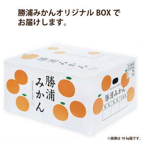 長田農園 早生みかん 秀品 S-Lサイズ 10kg