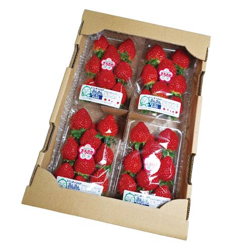 山西いちご園 さちのか 4P