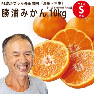 長田農園 早生みかん 秀品 Sサイズ 10kg