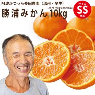 長田農園 早生みかん 秀品 SSサイズ 10kg