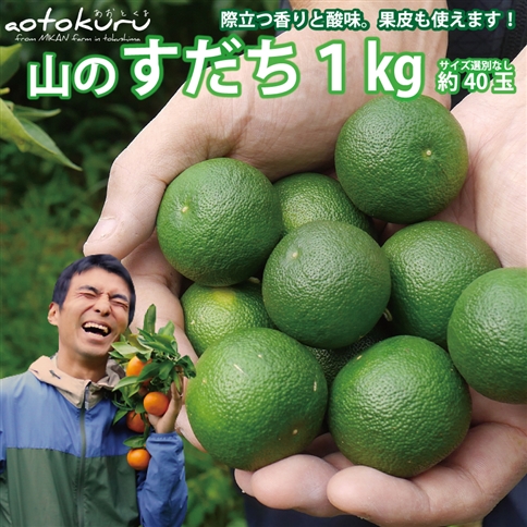 あおとくる 山のすだち 1kg