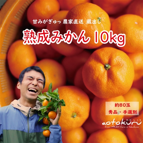 あおとくる 蔵出し熟成みかん 10kg 80玉前後 サイズ混合