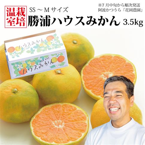 花岡農園 勝浦ハウスみかん SS-Mサイズ 3.5kg（個包装8パック入）