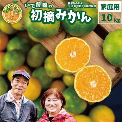 井出農園 訳あり 極早生 初摘みかん 家庭用 S-L混合 10kg