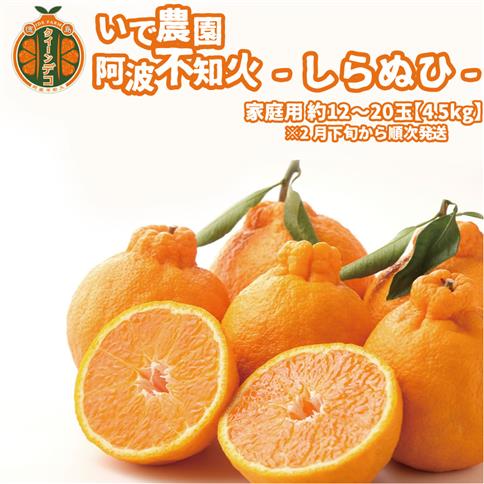 井出農園 家庭用 阿波不知火 約12-20玉 4.5kg