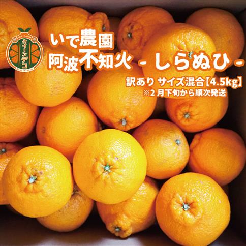 井出農園 訳あり 阿波不知火 サイズ混合 4.5kg