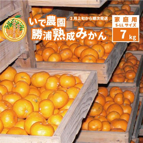 井出農園 家庭用 熟成みかん S-LLサイズ 7kg
