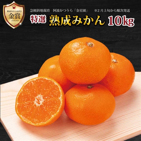 金星園 特選 熟成みかん 秀品 S-LLサイズ 10kg