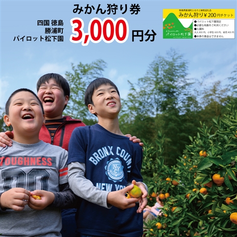 パイロット松下園 みかん狩り券 3000円分