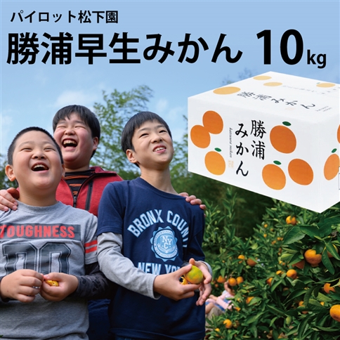 パイロット松下園 勝浦早生みかん SｰLサイズ 秀品 10kg