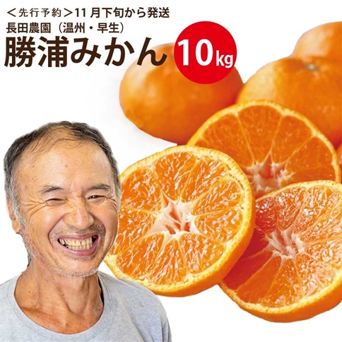 長田農園 早生みかん 秀品 S-Lサイズ 10kg