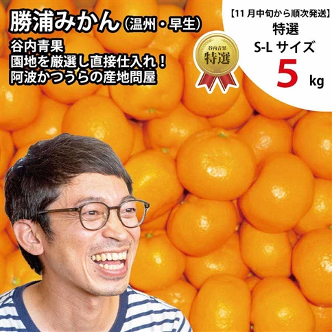 谷内青果 特選 早生みかん 秀品 S-Lサイズ 5kg