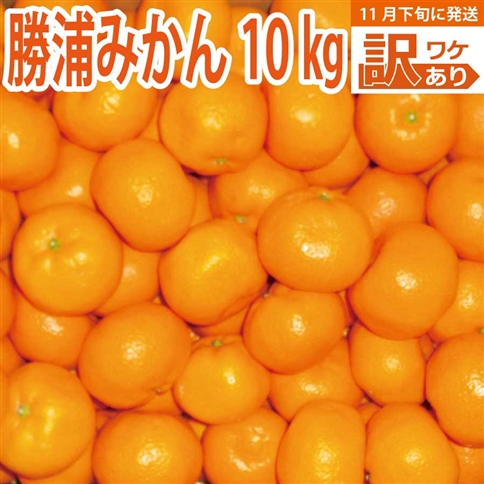 谷内青果 早生みかん 訳あり 10kg