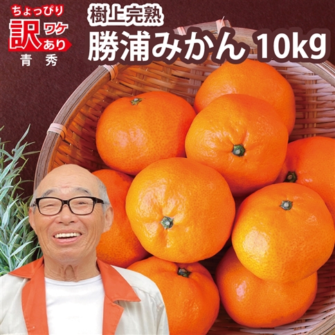 上村農園 訳あり 完熟早生みかん 青秀 S-LLサイズ 10kg