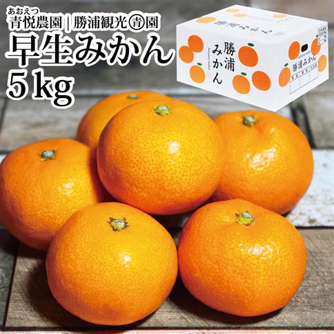 青悦農園 勝浦早生みかん S-LLサイズ 秀品 5kg