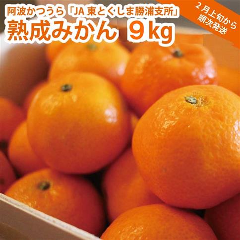  JA東とくしま 勝浦熟成みかん 9kg 大玉サイズ 優品