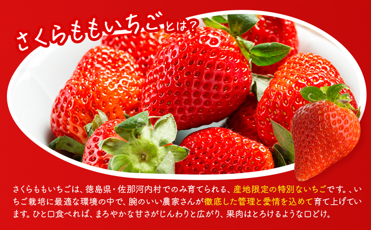 いちご 佐那河内村限定 さくらももいちご 4パック入り JA徳島市佐那河内支所 ふる里産品推進協議会《1月上旬-3月末頃に出荷(土日祝除く)》徳島県 佐那河内村【配送不可地域あり】※離島 | ブランドいちご 産地直送 ギフト大賞 ジューシー---sanagouchi_hss_6_4p---
