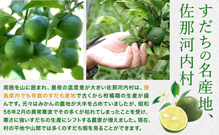 爽快！100%すだち果汁　300ml 《30日以内に出荷予定(土日祝除く)》徳島県産 すだち お試し 鍋料理 魚 寿司 すし スダチ すだち 焼酎 豆腐 肉 調味料 徳島県 佐那河内村 ---sanagouchi_jat_4_300ml---