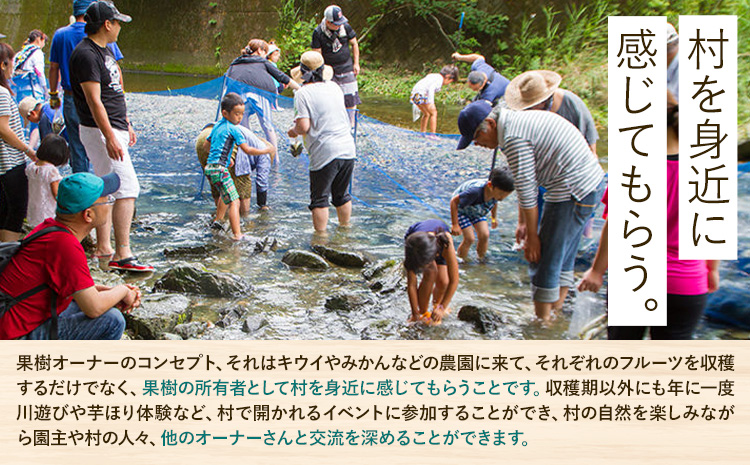 令和8年度果樹オーナー権（すだち）---sanagouchi_sko_7_1k---