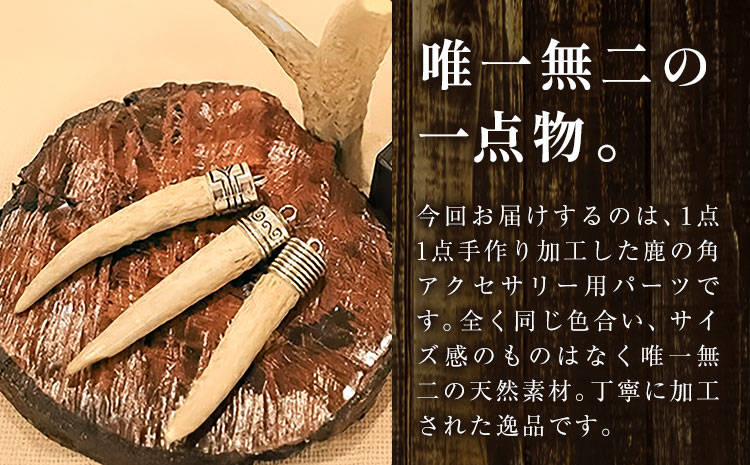 天然・鹿の角アクセサリー用パーツ 【配送不可地域あり】(離島) 一般財団法人さなごうち 《30日以内に出荷予定(土日祝除く)》│ ハンドメイド ハンドメイドパーツ DIY 一点物 天然 徳島県 佐那河内村---sanagouchi_izs_16_1p---
