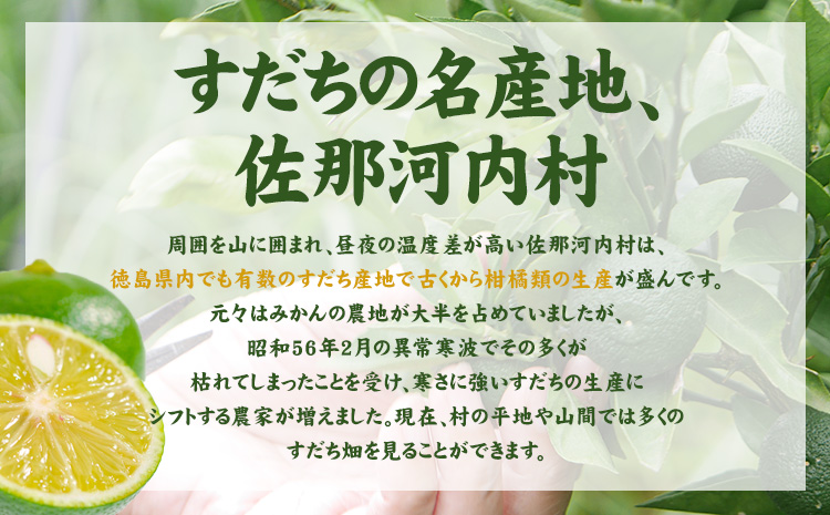 すだちワインスプリッツァー　1ケース(250ml×12本入り) 《30日以内に出荷予定(土日祝除く)》 すだち スダチ ハイボール お酒 酒 ご当地ハイボール 徳島県 佐那河内村---sanagouchi_izs_13_12hn---