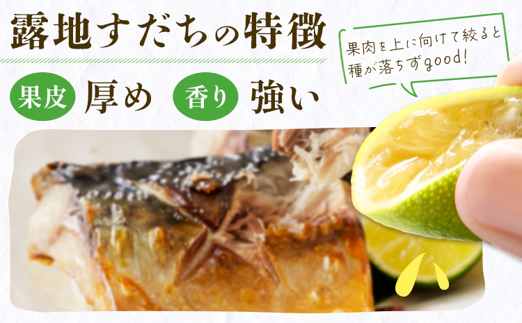 ＜2026年予約受付＞ 生産量日本一!! ちょっとキズでも香りは満点 徳島県産 訳ありすだち 1kg《9月上旬-9月末頃に出荷予定(土日祝除く)》徳島県 佐那河内村 すだち サイズ不揃い B級すだち すだち キズあり すだち 不揃い---tsm_lcl12_ac9_25_4500_1kg---