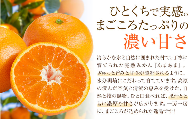 雨よけ完熟みかん「あまあま」選べる内容量 約2.2kg 正木久之《12月下旬-1月中旬》徳島県 佐那河内村 みかん ミカン 蜜柑 柑橘 箱入り 化粧箱 フルーツ 果物 くだもの 贈答【配送不可地域あり】※離島不可---sanagouchi_mhy_1_1hk---