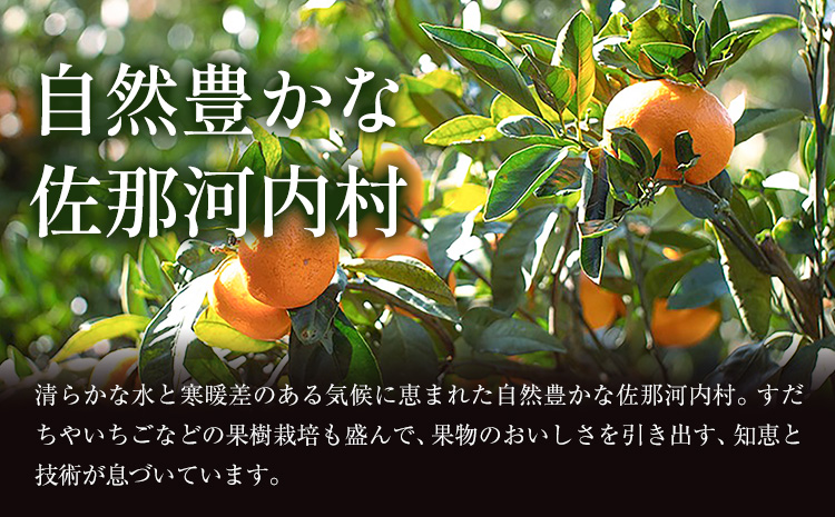 ＜先行予約＞ 蔵出し熟成みかん『極』1箱 《2月中旬-2月末頃出荷予定》みかん ミカン 蜜柑 mikan 貯蔵 柑橘 佐那河内 さなごうち 徳島県 箱入り 化粧箱 S M L フルーツ 果物 くだもの 贈答 進物 ---sanagouchi_lcl_21_1hk---