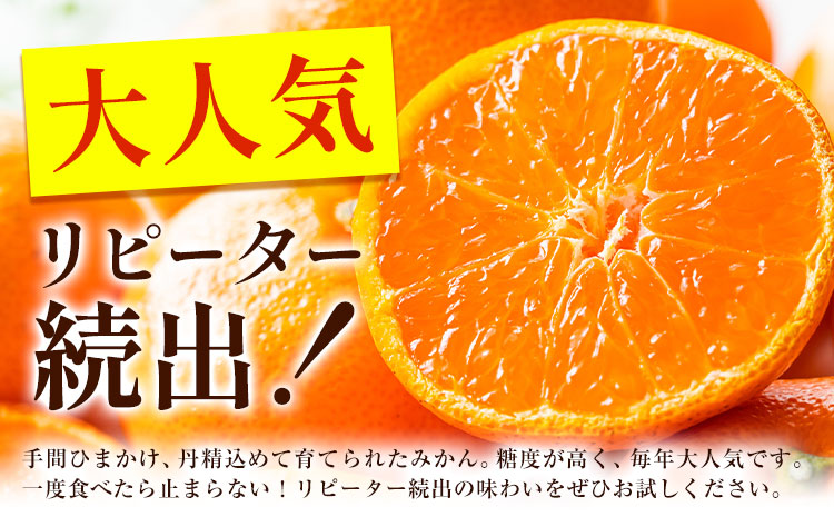 ＜先行予約＞ 熟成みかん『極旨』2箱 廣畠農園《2月初旬-2月末頃出荷予定》徳島県 佐那河内村 みかん ミカン 蜜柑 柑橘 箱入り 化粧箱 フルーツ 果物 くだもの 贈答 【配送不可地域あり】※離島---sanagouchi_hhn_4_2hk---