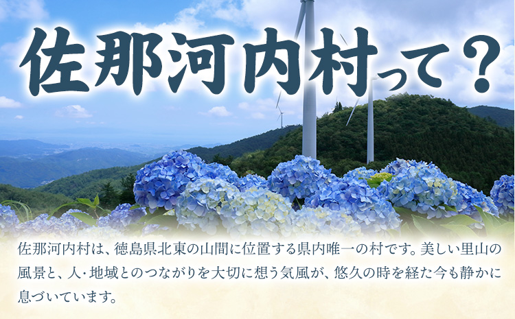 「訳あり」生しいたけ　200g×3袋(サイズ混合)　【配送不可地域あり】※離島不可 《30日以内に出荷予定(土日祝除く)》しいたけ 椎茸 シイタケ 生 大ぶり 食べ応え 厚い しいたけ 訳あり しいたけ 肉厚 しいたけ 醤油 徳島県 佐那河内村 ---sanagouchi_izs_15_3p---
