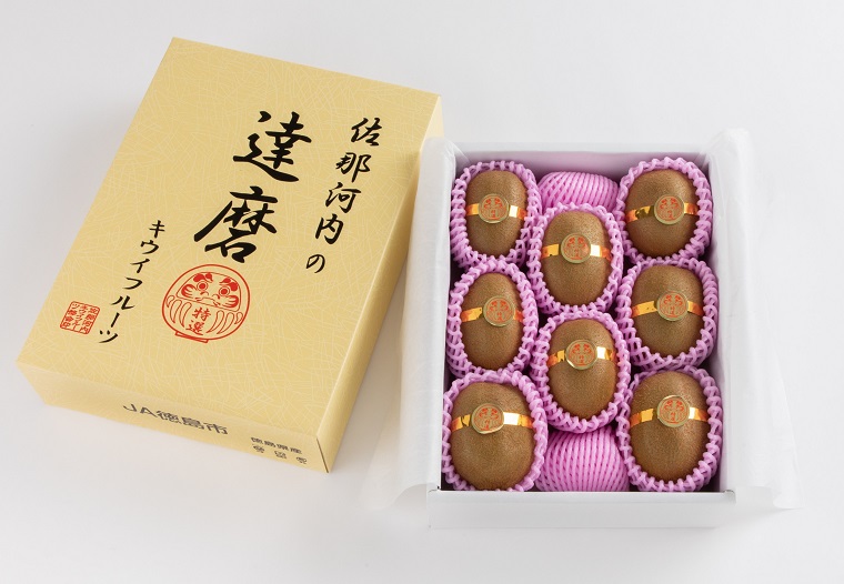 佐那河内の達磨キウイフルーツ(8玉入り化粧箱)　《2025年12月中旬から2026年2月中旬頃まで発送予定》【配送不可地域あり】※離島 ---sanagouchi_hss_9_8k---