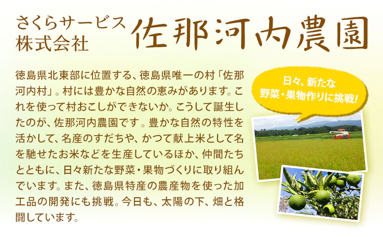 すだち発泡入浴料 5袋入り さくらサービス株式会社 《30日以内に出荷予定(土日祝除く)》| 入浴剤 炭酸 ご当地入浴剤 徳島県 佐那河内村  ---sanagouchi_sks_4_5k---