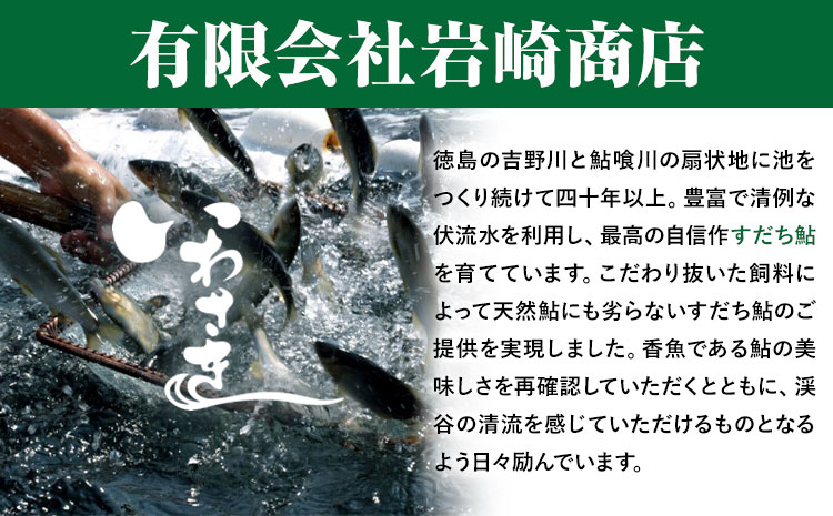 すだち鮎 12尾 冷凍 有限会社岩崎商店 《30日以内に出荷予定(土日祝除く)》│1尾あたり20～25cm 徳島県産 あゆ アユ 魚 魚介 川魚 塩焼き 甘露煮 徳島県 佐那河内村---sanagouchi_ist_2_12bi---