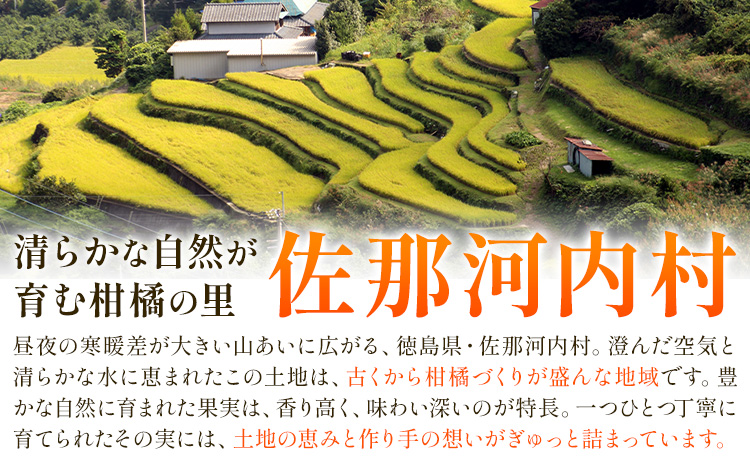 ゆず 訳あり 柚子 約1.5kg 《11月中旬-1月中旬頃発送》徳島県 佐那河内村 ゆず 柑橘 フルーツ 旬【配送不可地域あり】※離島---sanagouchi_lcl_19_1500g---