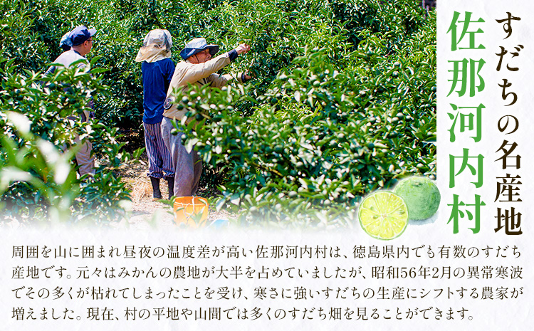 ＜出荷始まりました！＞ 村の 訳あり 冷蔵すだち 1kg《10月中旬-12月末頃に出荷予定(土日祝除く)》徳島県 佐那河内村 すだち スダチ 柑橘 佐那河内 さなごうち 徳島 とくしま 果汁 1キロ 訳あり 訳アリ 不揃い【配送不可地域あり】※離島---sanagouchi_lcl_27_1kg---