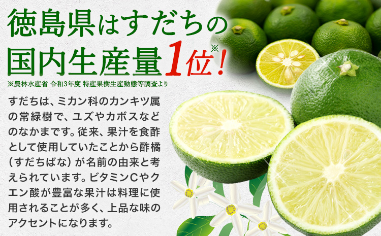 徳島県産 すだち 果汁使用 すだち グミ 40g × 3袋 JA徳島市農産工場《30日以内に出荷予定(土日祝除く)》徳島県 佐那河内村 スダチ 果汁 グミ お菓子 おかし おやつ デザート ご当地グミ---sanagouchi_jat_29_120g---