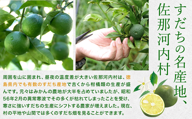 すだち果汁スティック(5ml×30) 《30日以内に出荷予定(土日祝除く)》すだち スダチ すだち果汁 お試し 使い切り お手頃 小分け 鍋料理 魚 寿司 すし 卓上 焼酎 豆腐 肉 調味料 徳島県 佐那河内村 ---sanagouchi_jat_34_150ml---