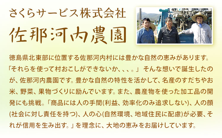 佐那河内産ゆず使用 柚子バーム 5.5g×1個 手のひらサイズ さくらサービス株式会社 《30日以内に出荷予定(土日祝除く)》| 徳島県 佐那河内村  ---sanagouchi_sks_1_1k---