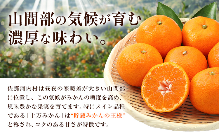 訳あり 熟成みかん 10kg 《1月上旬-3月上旬頃出荷》徳島 柑橘 ミカン 蜜柑 フルーツ 青果物 大容量 徳島県 佐那河内村---sanagouchi_lcl_42_10kg---