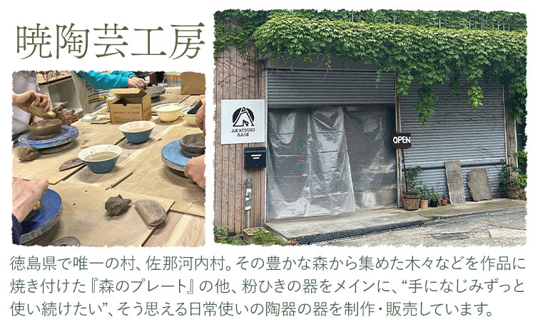 佐那河内の森のプレート 1枚 暁陶芸工房《30日以内に出荷予定(土日祝除く)》 自然 キッチン用品 日用品 オリジナル 雑貨 徳島県 佐那河内村 皿 食器 プレート 手作り ---sanagouchi_akb_6_1k---