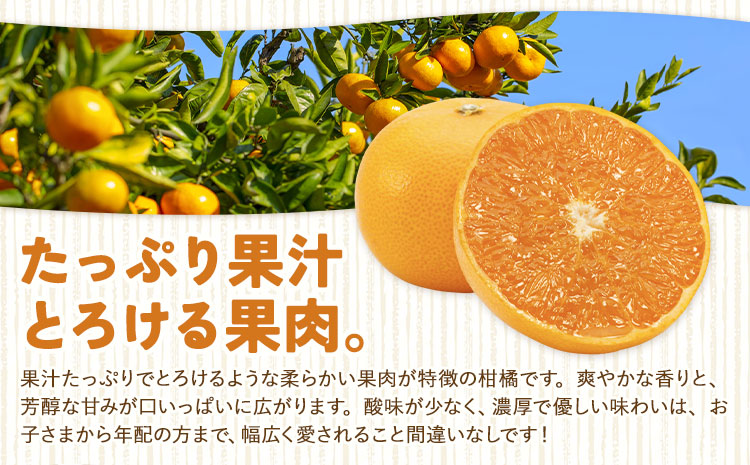 ハウス追熟 天草オレンジ 4玉～9玉入 廣畠農園《1月中旬頃出荷予定》徳島県 佐那河内村 みかん ミカン 蜜柑 柑橘 フルーツ 果物 くだもの【配送不可地域あり】※離島---sanagouchi_hhn_5_1hk---