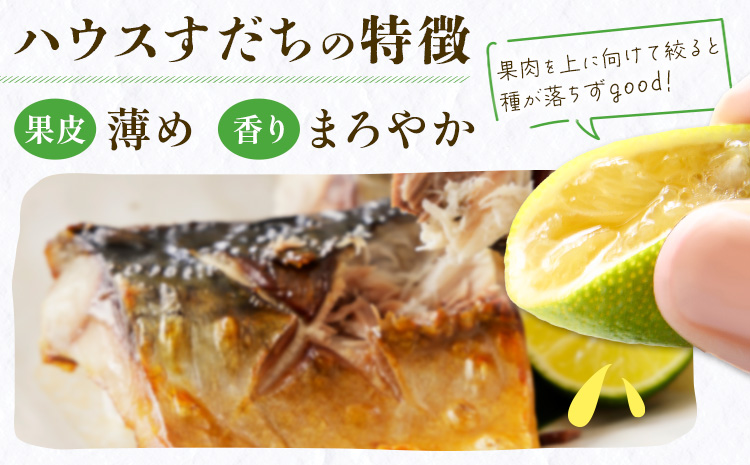 ＜ 先行予約 ＞ 生産量日本一 徳島県産 ハウスすだち 1kg《2026年6月中旬-8月上旬頃に出荷予定(土日祝除く)》徳島 すだち スダチ 露地 魚 豆腐 冷奴 焼き魚 天ぷら 刺身 徳島県 佐那河内村---sanagouchi_hss_1_1kg---