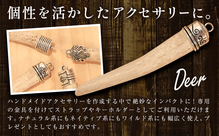 天然・鹿の角アクセサリー用パーツ 【配送不可地域あり】(離島) 一般財団法人さなごうち 《30日以内に出荷予定(土日祝除く)》│ ハンドメイド ハンドメイドパーツ DIY 一点物 天然 徳島県 佐那河内村---sanagouchi_izs_16_1p---