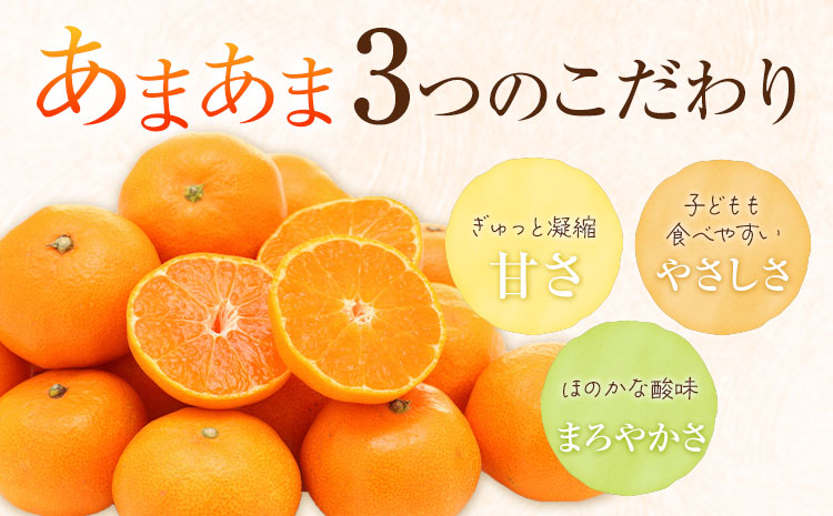雨よけ完熟みかん「あまあま」選べる内容量 約4.4kg 正木久之《12月下旬-1月中旬》徳島県 佐那河内村 みかん ミカン 蜜柑 柑橘 箱入り 化粧箱 フルーツ 果物 くだもの 贈答【配送不可地域あり】※離島不可---sanagouchi_mhy_2_2hk---