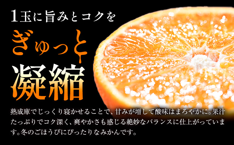 ＜先行予約＞ 蔵出し熟成みかん『極』1箱 《2月中旬-2月末頃出荷予定》みかん ミカン 蜜柑 mikan 貯蔵 柑橘 佐那河内 さなごうち 徳島県 箱入り 化粧箱 S M L フルーツ 果物 くだもの 贈答 進物 ---sanagouchi_lcl_21_1hk---